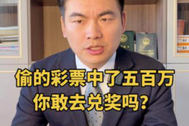 黄山为什么选择专业追讨公司来处理您的债务纠纷？